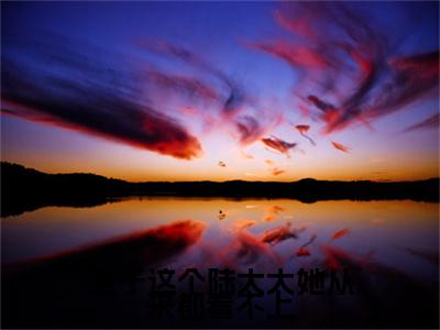 温季絮陆亦深（至于这个陆太太她从来都看不上）全文免费阅读无弹窗大结局_温季絮陆亦深完整章节阅读