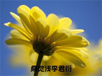 桑觉浅李君衍（桑觉浅李君衍）小说全文免费_桑觉浅李君衍小说（桑觉浅李君衍）最新章节目录笔趣阁