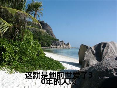 这就是他前世爱了30年的人啊：全文+完结+后续（周雨梦岳景瀚）全文免费阅读无弹窗大结局_（这就是他前世爱了30年的人啊：全文+完结+后续）这就是他前世爱了30年的人啊：全文+完结+后续最新章节列表_笔趣阁（周雨梦岳景瀚）