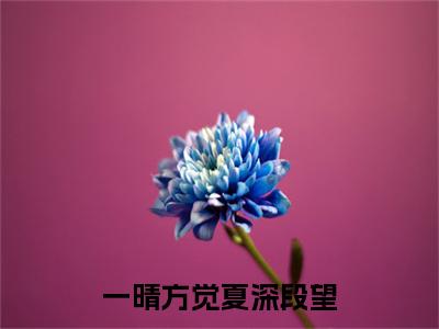 一晴方觉夏深段望（夏舒意段望）全文免费阅读无弹窗大结局_一晴方觉夏深段望免费阅读全文大结局