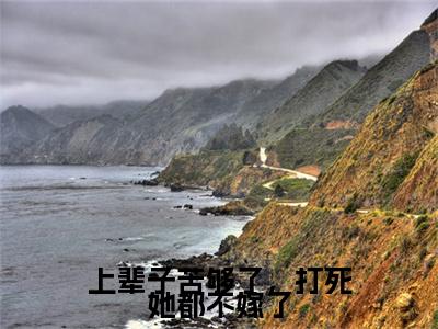 上辈子苦够了，打死她都不嫁了沈安安全文免费阅读_上辈子苦够了，打死她都不嫁了无弹窗最新章节