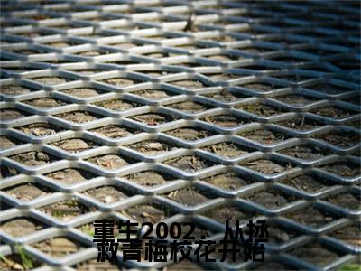 沈昶梁晚晴（沈昶梁晚晴）全文免费阅读无弹窗大结局_重生2002：从拯救青梅校花开始小说最新章节列表_笔趣阁