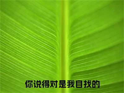 你说得对是我自找的小说顾清欢陆霆骁-你说得对是我自找的小说在哪里可以看