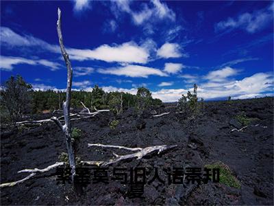繁星莫与旧人语秦知夏秦知夏免费阅读大结局无弹窗-繁星莫与旧人语秦知夏小说推荐秦知夏精彩章节在线阅读