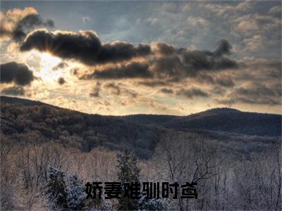 (番外)+(全文)娇妻难驯时鸢（时鸢：结局+番外）全文免费阅读无弹窗大结局_(娇妻难驯时鸢)最新章节列表_笔趣阁（时鸢：结局+番外）