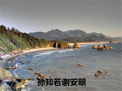 孙知若谢安明精彩章节免费阅读_（孙知若谢安明）孙知若谢安明抖音热推小说最新章节阅读