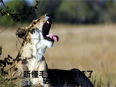 纪可甜番外+无删减版（听懂毛茸茸后我成了破案专家）全文在线阅读无弹窗大结局_（听懂毛茸茸后我成了破案专家）纪可甜番外+无删减版在线阅读无弹窗最新章节列表_笔趣阁（纪可甜）