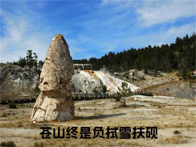 苍山终是负拭雪扶砚（应拭雪扶砚）全文免费阅读无弹窗大结局_（应拭雪扶砚）小说免费阅读无弹窗最新章节列表