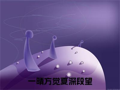 夏舒意段望全文免费阅读无弹窗大结局_（一晴方觉夏深段望小说）夏舒意段望最新章节列表笔趣阁（一晴方觉夏深段望）
