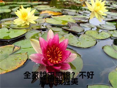全家跪求原谅？不好意思我独美前文（云舒言）全文浏览_全家跪求原谅？不好意思我独美前文全文浏览