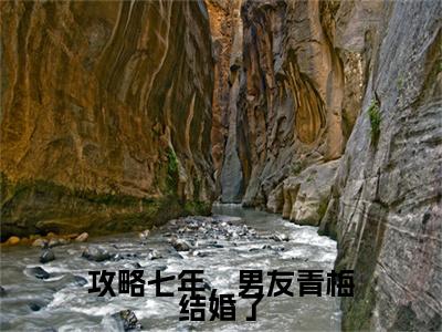 陆远方沈薇薇（攻略七年，男友青梅结婚了）全文免费阅读无弹窗大结局_陆远方沈薇薇全文免费阅读