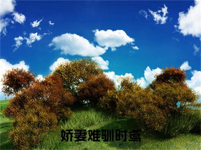 时鸢小说在线阅读（娇妻难驯时鸢）全文免费阅读无弹窗大结局_时鸢小说免费最新章节列表