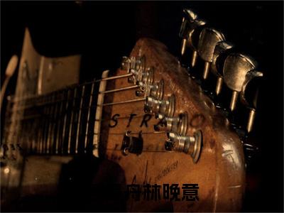 林晚意顾晏舟：结局+番外(顾晏舟林晚意)全文免费阅读无弹窗大结局_(林晚意顾晏舟：结局+番外)最新章节列表_笔趣阁(顾晏舟林晚意)