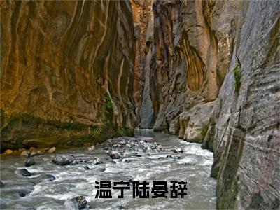 温宁陆晏辞全文免费阅读无弹窗大结局_（陆晏辞温宁）温宁陆晏辞在线阅读无弹窗
