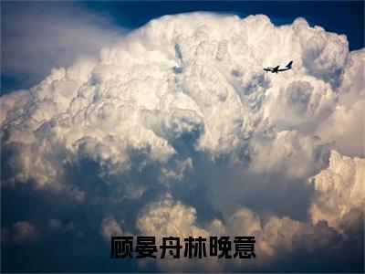 顾晏舟林晚意（林晚意顾晏舟）全文免费阅读无弹窗大结局_顾晏舟林晚意免费阅读无弹窗最新章节列表