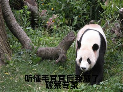(结局)+(全文)纪可甜（纪可甜：结局+番外）全文免费阅读无弹窗大结局_(纪可甜)最新章节列表_笔趣阁（纪可甜：结局+番外）