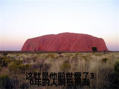 这就是他前世爱了30年的人啊岳景瀚（周雨梦岳景瀚）小说全文无删减版_这就是他前世爱了30年的人啊岳景瀚最新章节列表_笔趣阁（周雨梦岳景瀚）