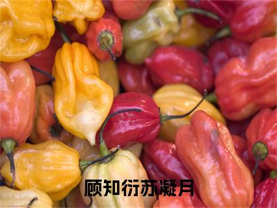 (番外)+(结局)苏凝月顾知衍（苏凝月顾知衍：结局+后续）全文免费阅读无弹窗大结局_(苏凝月顾知衍)最新章节列表_笔趣阁（苏凝月顾知衍：结局+后续）