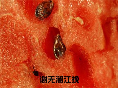 谢无澜江挽小说江挽谢无澜全文免费阅读（谢无澜江挽已完结）
