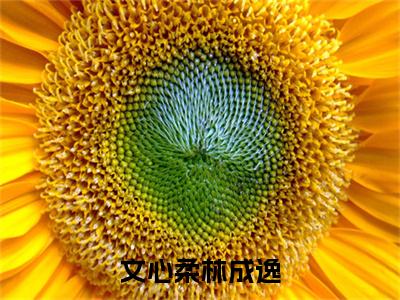 林成逸文心柔：结局+番外(文心柔林成逸)全文林成逸文心柔阅读无弹窗结局_文心柔林成逸+结局最新章节列表_笔趣阁（林成逸文心柔：结局+番外）