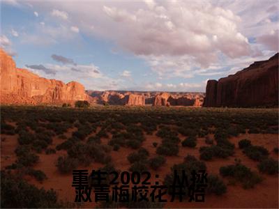 重生2002：从拯救青梅校花开始沈昶梁晚晴小说全文免费阅读无弹窗大结局_（沈昶梁晚晴）最新章节列表笔趣阁