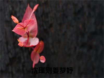 独家小说《沈瑾则姜梦妤姜梦妤沈瑾则：结局+番外》姜梦妤沈瑾则全文免费阅读无弹窗_姜梦妤沈瑾则最新小说无广告（沈瑾则姜梦妤姜梦妤沈瑾则：结局+番外）