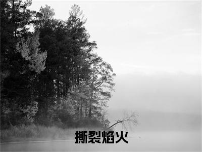 撕裂焰火小说（纪莫年）全文免费阅读无弹窗大结局_（撕裂焰火）纪莫年最新章节列表