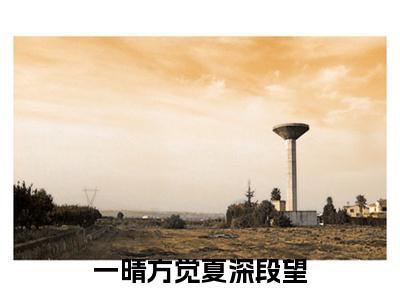 一晴方觉夏深段望：全文+后续+结局（夏舒意段望）最新章节列表_一晴方觉夏深段望（夏舒意段望）一晴方觉夏深段望：全文+后续+结局在线阅读