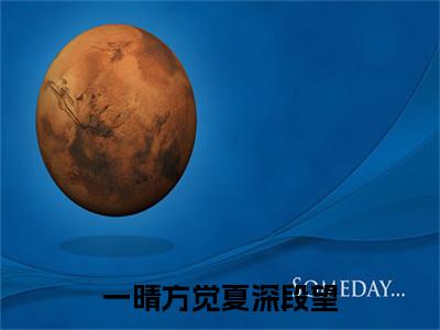 一晴方觉夏深段望（夏舒意段望）全文免费阅读无弹窗大结局_夏舒意段望全文在线阅读
