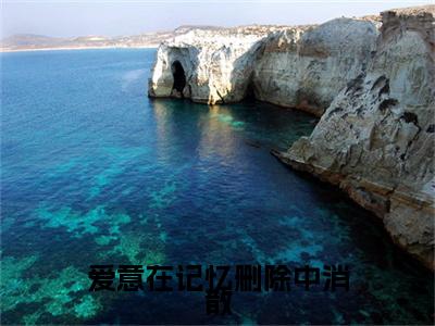 (番外)+(全文)爱意在记忆删除中消散：结局+番外（苏梨陆瑾时）最新章节列表_爱意在记忆删除中消散：结局+番外（苏梨陆瑾时）全文+后续+结局在线阅读