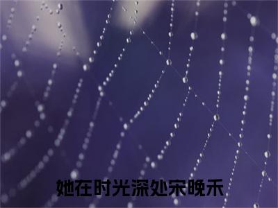 她在时光深处宋晚禾（江淮序宋晚禾：结局+番外）全文最新免费阅读无弹窗_她在时光深处宋晚禾精选章节小说阅读_笔趣阁（江淮序宋晚禾：结局+番外）