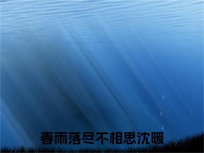 春雨落尽不相思沈暖（沈暖）全文免费阅读_春雨落尽不相思沈暖免费阅读最新章节列表笔趣阁（沈暖）