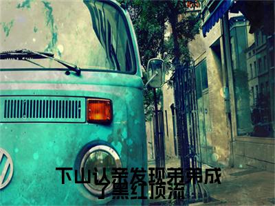 (番外)+(结局)支雅雅简学青：结局+番外（下山认亲发现弟弟成了黑红顶流）全文免费阅读无弹窗大结局_(下山认亲发现弟弟成了黑红顶流：结局+番外)最新章节列表_笔趣阁（下山认亲发现弟弟成了黑红顶流）