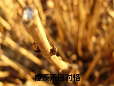 虞羡禾傅时恪全文免费阅读无弹窗大结局_虞羡禾傅时恪最新章节列表_笔趣阁