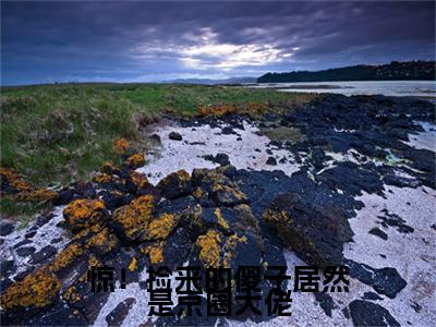 周暮行江眠（惊！捡来的傻子居然是京圈大佬）全文免费周暮行江眠读无弹窗大结局_周暮行江眠免费惊！捡来的傻子居然是京圈大佬读最新章节列表_笔趣阁