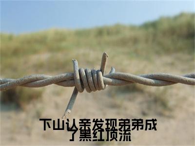 下山认亲发现弟弟成了黑红顶流（支雅雅简学青）笔趣阁免费小说_下山认亲发现弟弟成了黑红顶流笔趣阁全文阅读