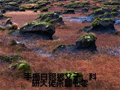 手撕白眼狼父子，科研大佬杀翻七零（苏清禾）全文免费阅读无弹窗大结局_手撕白眼狼父子，科研大佬杀翻七零全文阅读_笔趣阁（苏清禾）