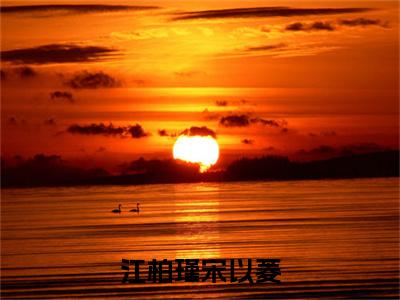 江柏瑾宋以菱（宋以菱江柏瑾）全文免费阅读无弹窗大结局_江柏瑾宋以菱小说（宋以菱江柏瑾）最新章节列表
