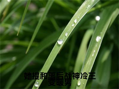 (叶霜柔战爵逸她提和离后战神冷王变暖男：结局+番外)书荒文好文分享(叶霜柔战爵逸)全文免费阅读无弹窗大结局_叶霜柔战爵逸她提和离后战神冷王变暖男：结局+番外最新章节列表_笔趣阁叶霜柔战爵逸