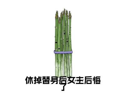 完结文休掉替身后女主后悔了最新章节列表_完结文休掉替身后女主后悔了全文免费阅读（李承宜沈若熙）(番外)+(全文)