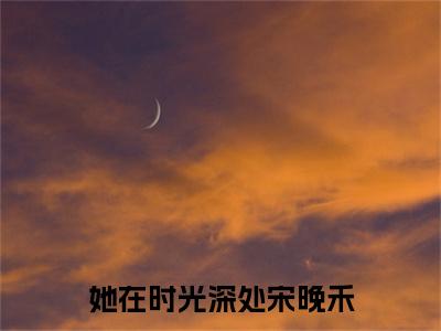 她在时光深处宋晚禾（江淮序宋晚禾）全文免费阅读_她在时光深处宋晚禾最新章节小说免费阅读_笔趣阁