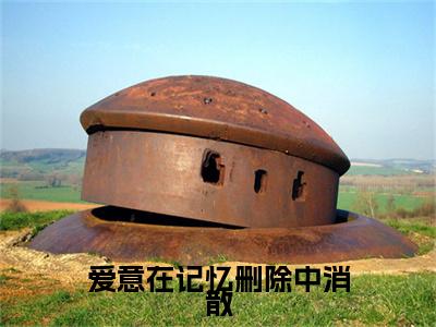 爱意在记忆删除中消散小说（苏梨陆瑾时）全文免费阅读无弹窗大结局_爱意在记忆删除中消散小说免费阅读最新章节列表笔趣阁（苏梨陆瑾时）