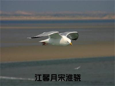 宋淮骁江馨月（江馨月宋淮骁）小说免费下载全本-宋淮骁江馨月（江馨月宋淮骁完整版）免费阅读