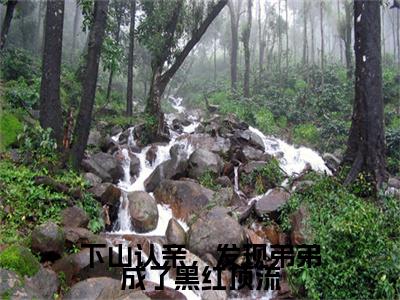 下山认亲，发现弟弟成了黑红顶流全文免费阅读无弹窗大结局_（支雅雅简学青）下山认亲，发现弟弟成了黑红顶流免费阅读无弹窗最新章节列表_笔趣阁