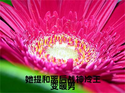 她提和离后战神冷王变暖男（叶霜柔战爵逸）全文免费阅读无弹窗大结局_（叶霜柔战爵逸）她提和离后战神冷王变暖男最新章节列表_笔趣阁