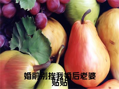 婚前别挨我婚后老婆贴贴小说全文免费阅读无弹窗大结局_（婚前别挨我婚后老婆贴贴）江棠封凌最新章节列表笔趣阁