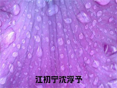 江初宁沈浮予结局+番外（江初宁沈浮予）完结阅读无弹窗大结局_(江初宁沈浮予结局+番外)最新章节列表_笔趣阁（江初宁沈浮予）