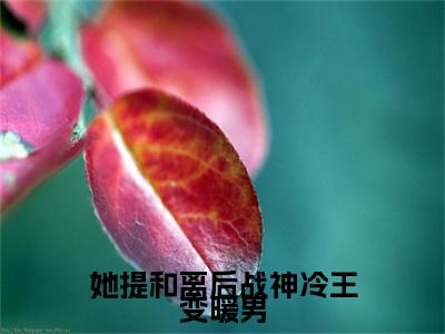 她提和离后战神冷王变暖男（叶霜柔战爵逸）小说全文免费阅读无弹窗_（叶霜柔战爵逸）最新章节列表_笔趣阁