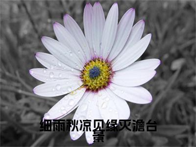 (番外)+(全文)江菱妤澹台景（细雨秋凉见缘灭澹台景：结局+番外+全文）全文免费阅读无弹窗大结局_(江菱妤澹台景)最新章节列表_笔趣阁（细雨秋凉见缘灭澹台景：结局+番外+全文）