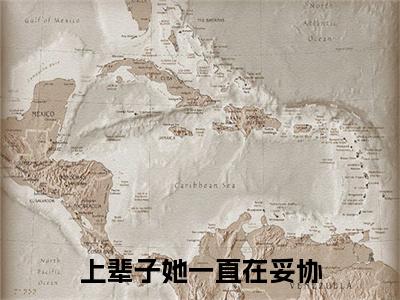 (番外)+(结局)上辈子她一直在妥协（姜洛念苏以清）完整全文在线阅读_(上辈子她一直在妥协)最新章节列表_笔趣阁（姜洛念苏以清）